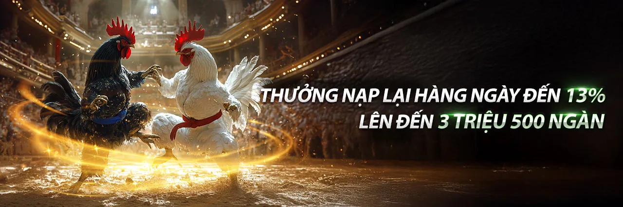 Đá Gà Thomo 11/12 trực tiếp tại U888